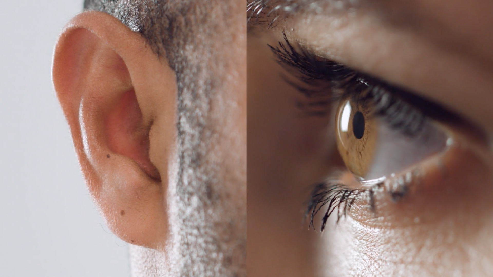 Ear and eye v3